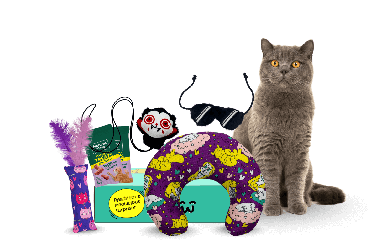 MyMeow - Your cat's monthly joy box.