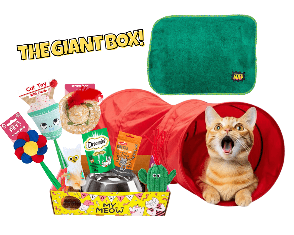 MyMeow - Your cat's monthly joy box.