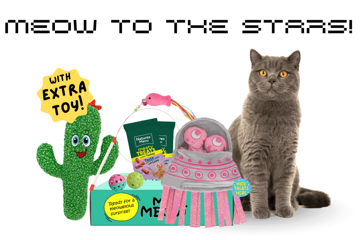 MyMeow - Your cat's monthly joy box.