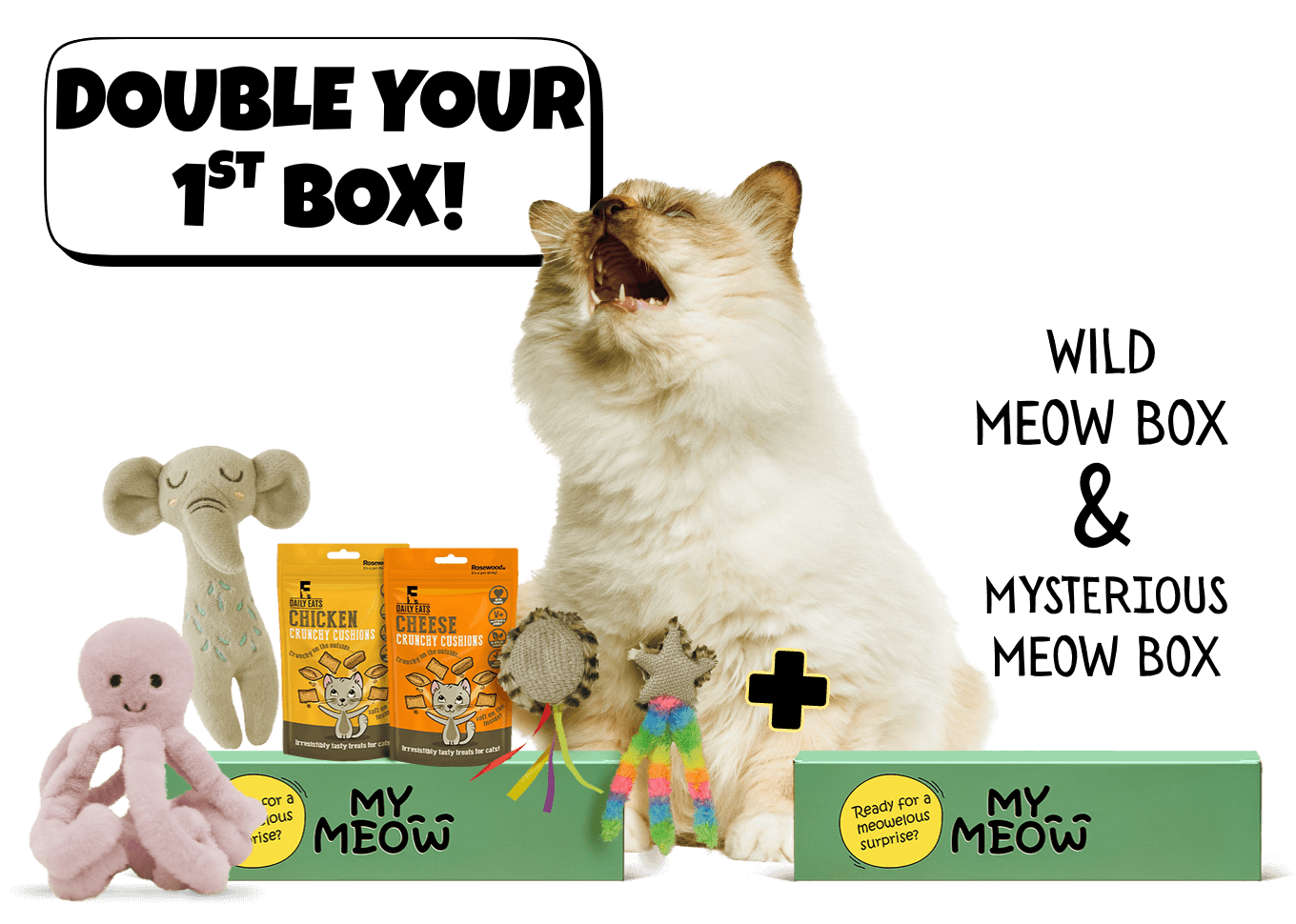 MyMeow - Your cat's monthly joy box.