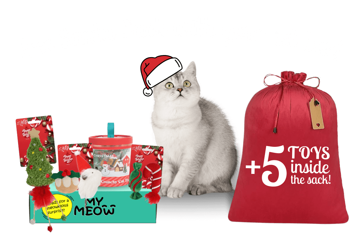 MyMeow - Your cat's monthly joy box.