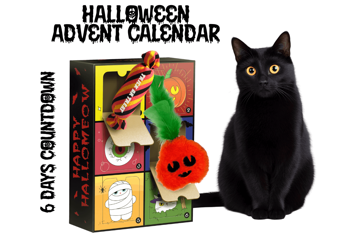 MyMeow - Your cat's monthly joy box.