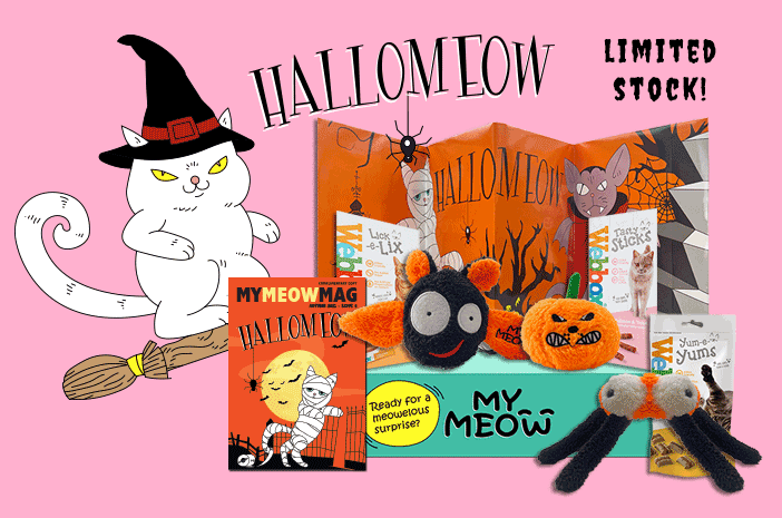 MyMeow - Your cat's monthly joy box.
