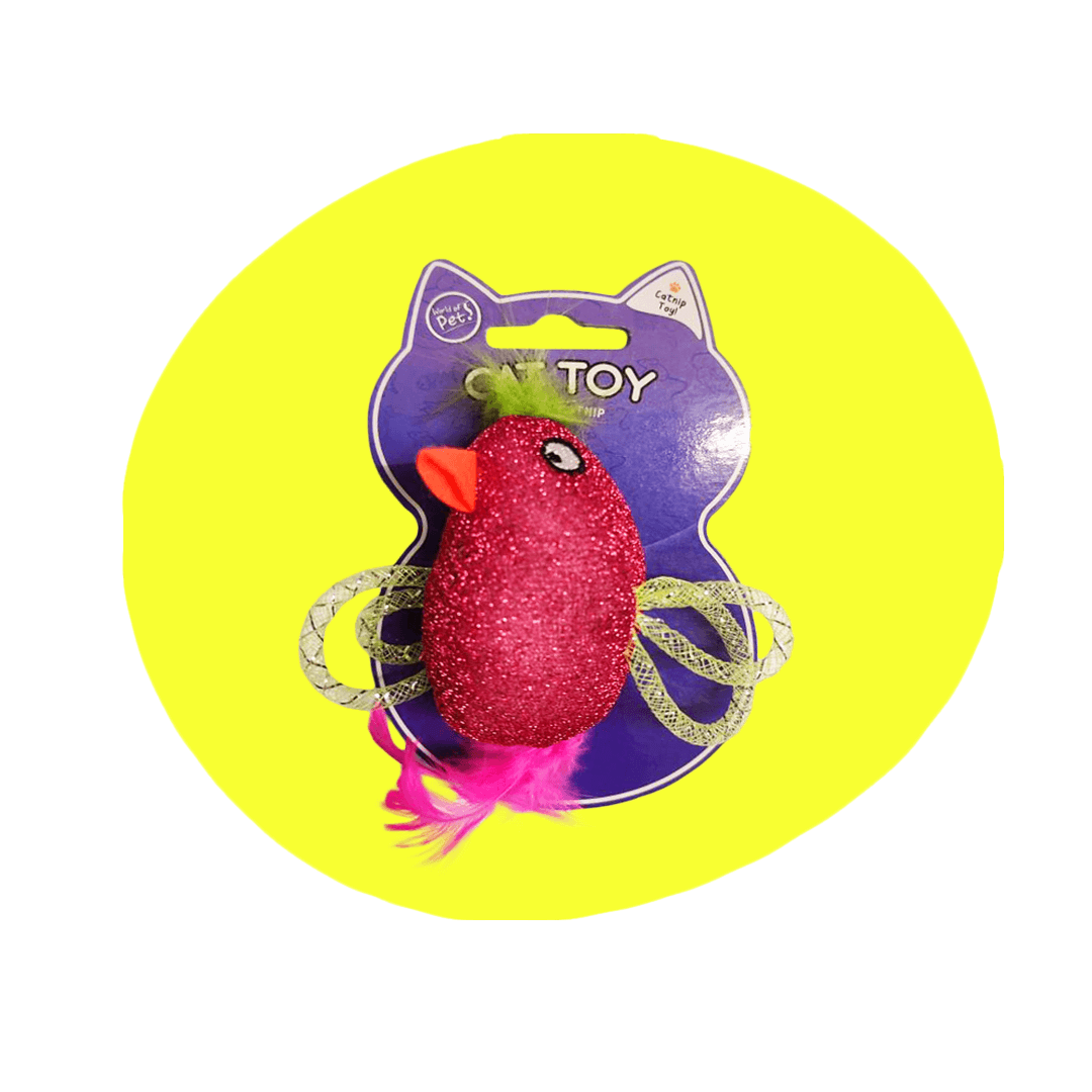 Shiny Toy With Catnip