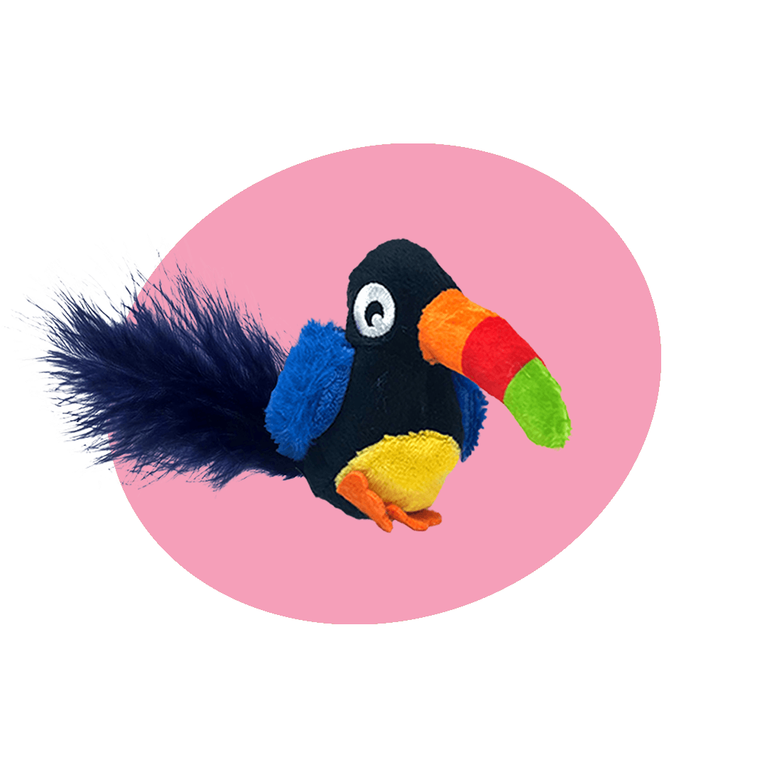 Toucan Melody Chaser