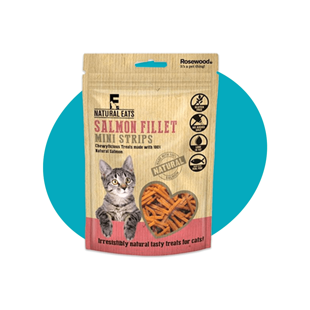 Salmon Fillet Treats