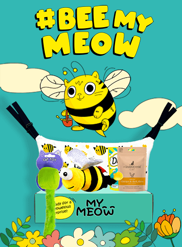 Photograph of Bee My Meow themed MyMeow toys and treats