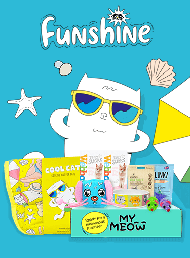 Photograph of Funshine themed MyMeow toys and treats