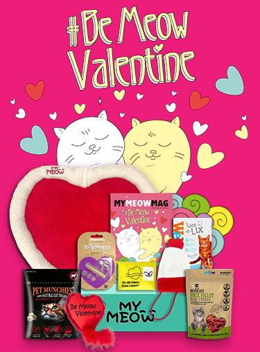 Photograph of Be Meow Valentine themed MyMeow toys and treats
