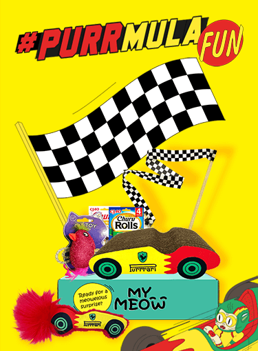 Photograph of Purrmula Fun themed MyMeow toys and treats