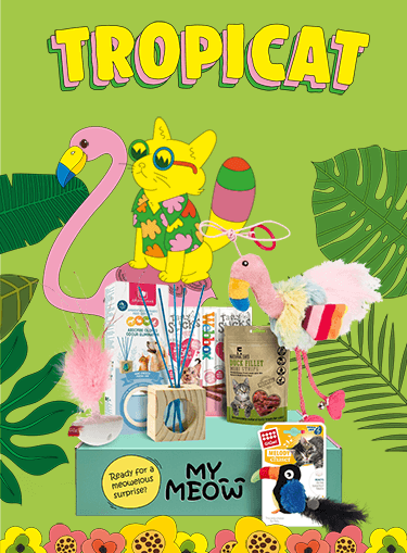 Photograph of Tropicat themed MyMeow toys and treats